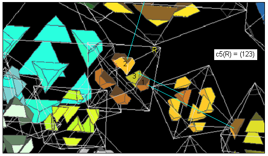 24c FT macro c5.PNG