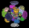 48cell.PNG