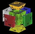 5D CT.PNG